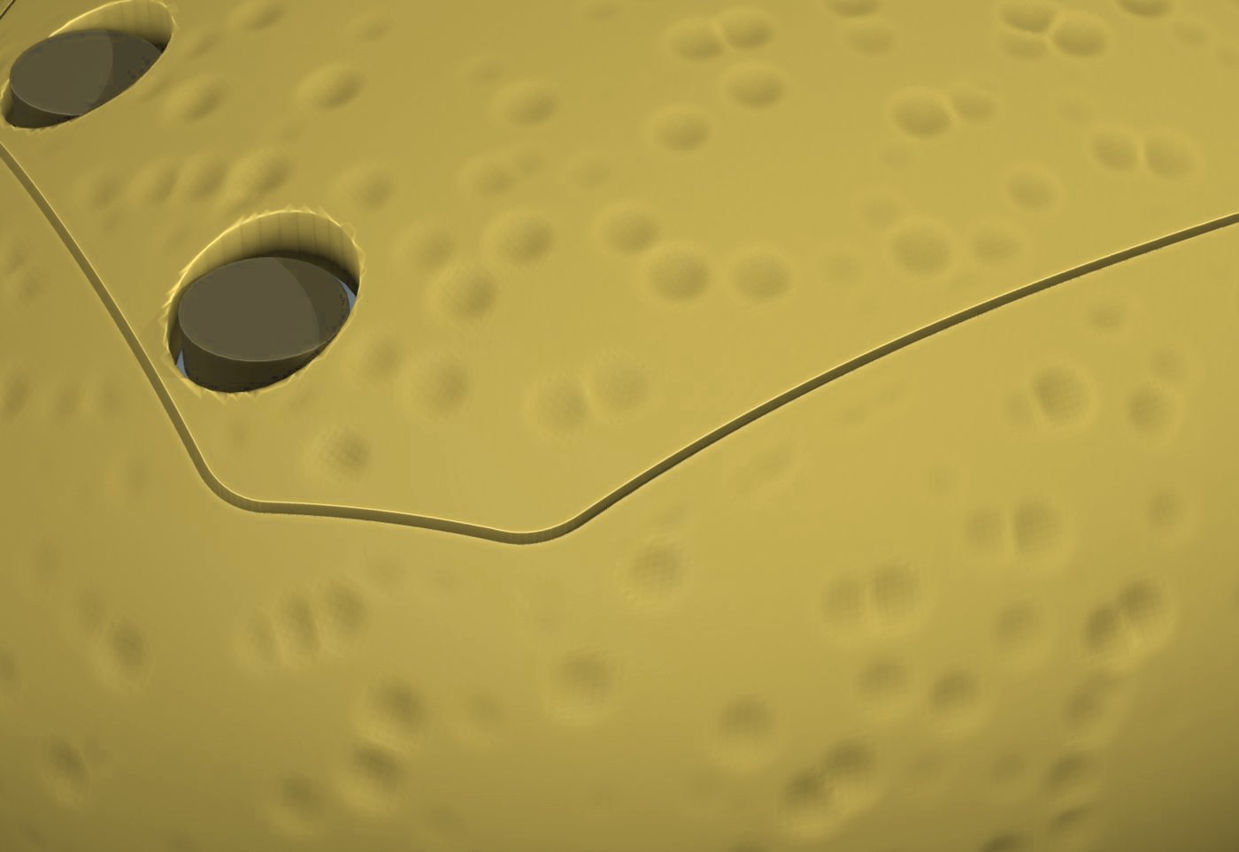 Close-up of the dimpled peel texture
